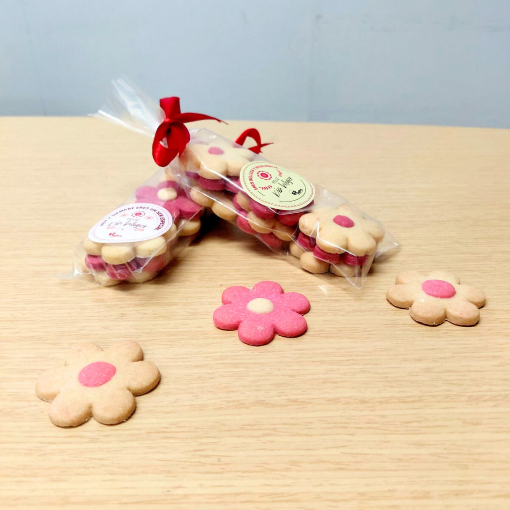 ESTUCHE DE GALLETA COLORES